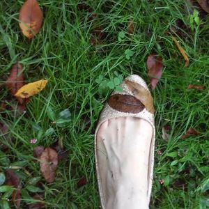 Close-up of mushroom growing on grassy field
