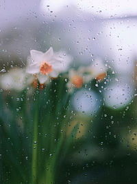 Full frame shot of wet glass window