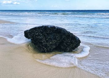 Scenic view of sea shore against sky