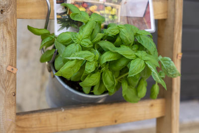 High angle view of vegetables in container on table