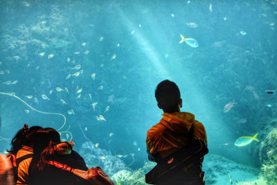 Rear view of people looking at fish in aquarium