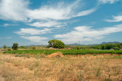 Scenic view of the  vila rodona field against sky