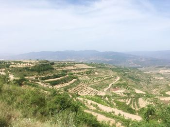 High angle view of agricultural field against sky