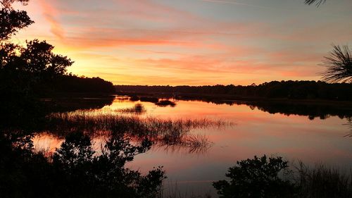 Silhouette of trees at sunset