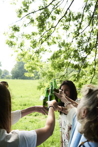 Happy women clinking beer bottles in park