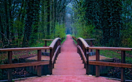 Wooden footbridge in forest