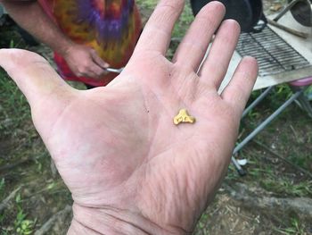 High angle view of man holding hands on field