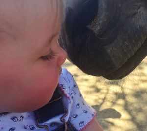 Close-up of baby girl by horse