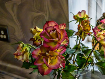 Close-up of flower vase on window