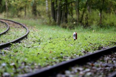 View of person walking on railroad track