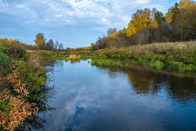 Scenic view of lake in forest against sky