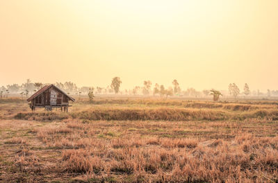 Scenic view of field against clear sky