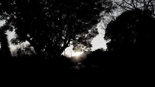 Silhouette trees in forest against sky at night