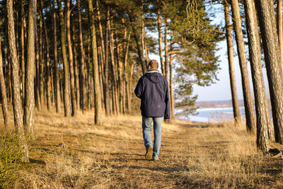 Rear view of man in forest