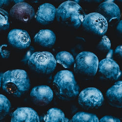 Full frame shot of blueberries