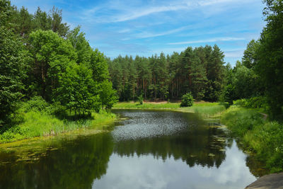 Scenic view of lake in forest against sky