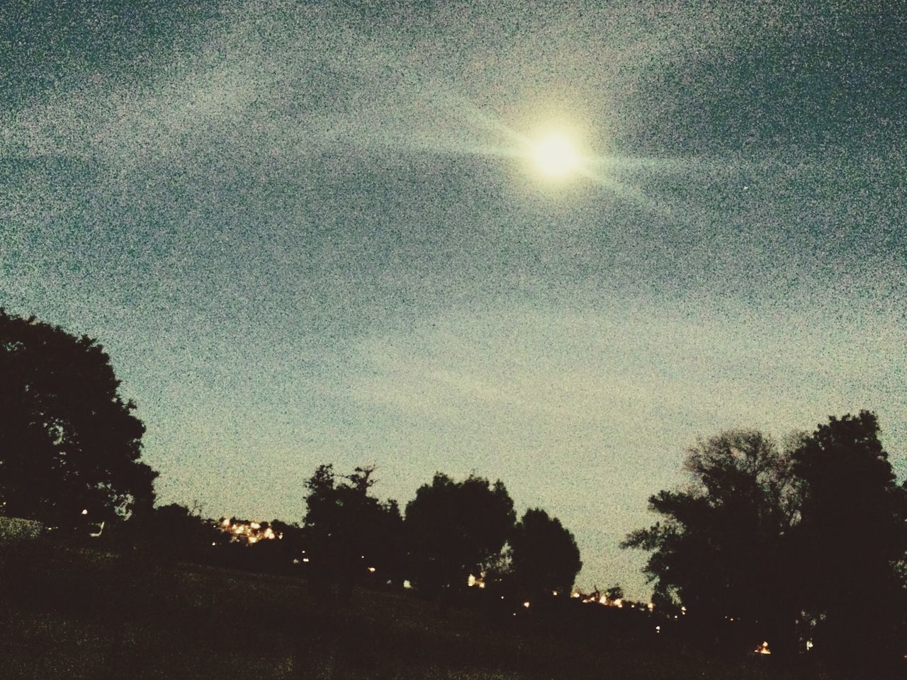 tree, sky, silhouette, nature, sun, beauty in nature, sunlight, no people, sunset, tranquility, scenics, outdoors, moon, astronomy, star - space