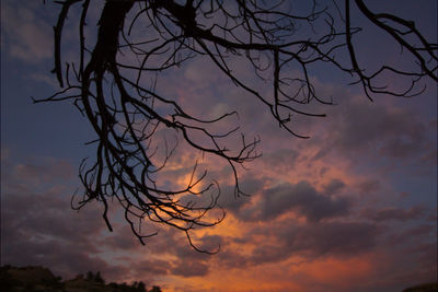 Low angle view of silhouette bare tree against sky