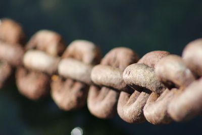 Close up of eggs