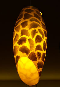 Close-up of pumpkin on table