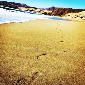 Scenic view of beach