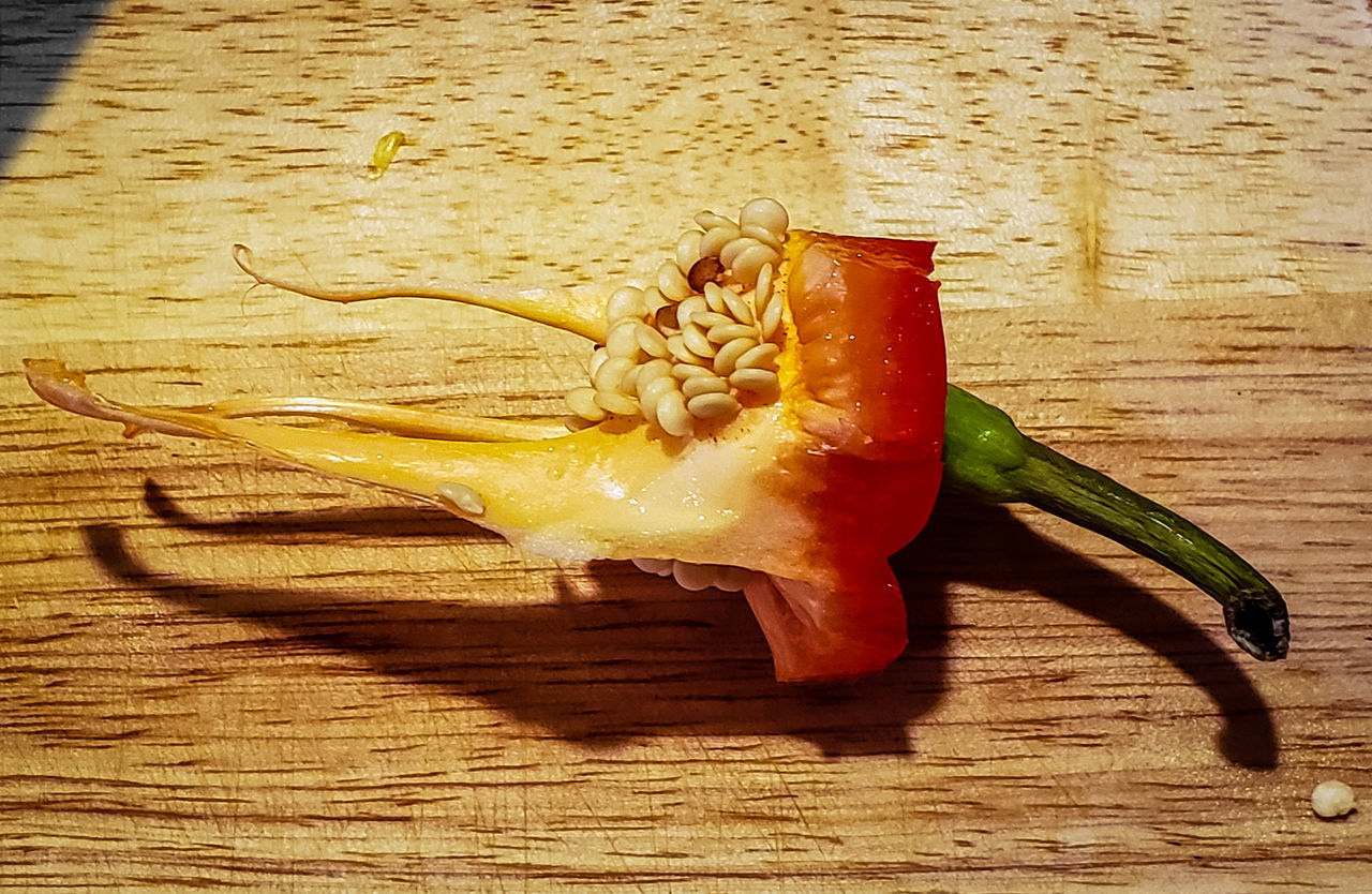 HIGH ANGLE VIEW OF VEGETABLES ON TABLE