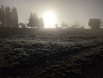 Scenic view of field against sky