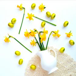 Close-up of yellow flowers