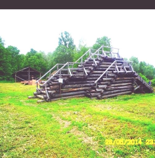 grass, clear sky, abandoned, obsolete, damaged, tree, old, run-down, deterioration, field, built structure, wood - material, grassy, architecture, weathered, copy space, day, green color, old ruin, wood