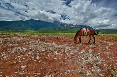 Scenic view of landscape against cloudy sky