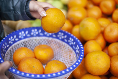 Close-up of hand holding orange fruits at market