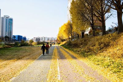 Rear view of people walking on road in city against clear sky