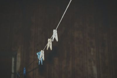 Close-up of clothespins hanging in winter