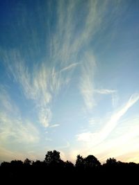 Low angle view of silhouette trees against sky during sunset