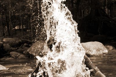 Close-up of horse in the lake