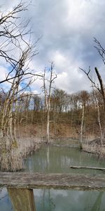 Bare trees by lake against sky