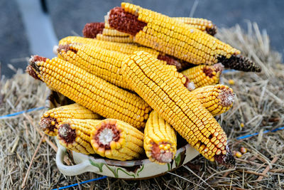 Heap of dried corn cobs in a traditional pottery plate, displayed on wheat straws