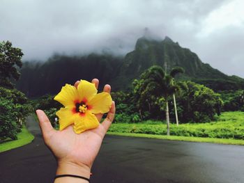 Cropped hand of woman holding yellow flower against mountains