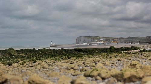 Surface level of rocks on beach against sky