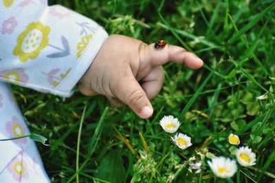 Midsection of child with ladybug on finger