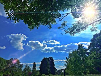 Low angle view of trees against cloudy sky