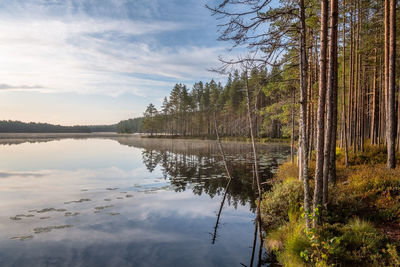 Scenic view of lake in forest against sky with calmness water