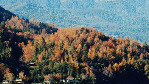 Scenic view of landscape