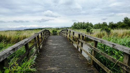 Boardwalk amidst plants on field against sky