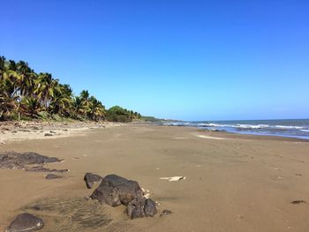 Scenic view of beach against clear sky