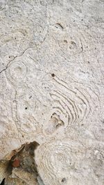 Close-up of text on beach