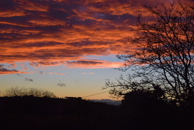 Silhouette trees against dramatic sky during sunset