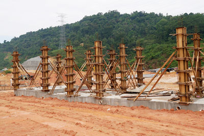 Cranes in forest against sky