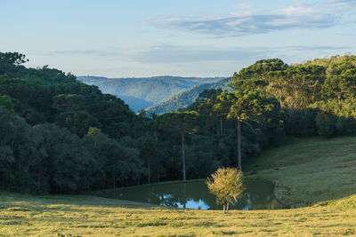 Scenic view of trees and mountains against sky