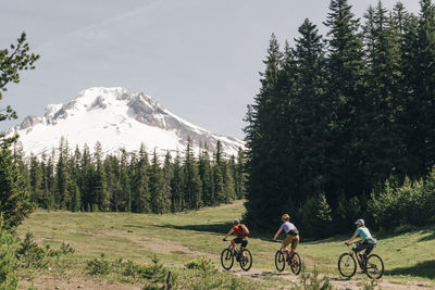 Three female friends mountain bike on a trail at mt. hood, oregon.